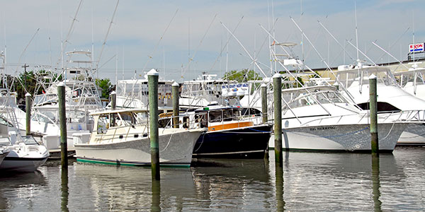 Things To Do South Jersey Marina 